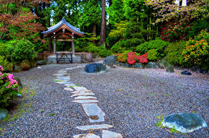 Tapety na pulpit Kanada Park Pagoda Vancouver Krzaki Natura