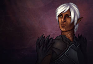 Pictures Dragon Age Elves Warriors Fenris Games Fantasy