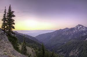 Fonds d'écran Montagnes Parc Photographie de paysage Forêt États-Unis Arbres Washington Hurricane Ridge Olympic Nature