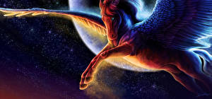 Image Pegasus Night time Moon Wings Fantasy