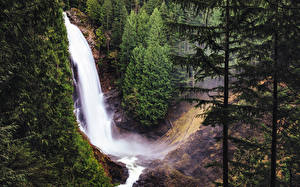 Fonds d'écran États-Unis Chute d'eau Forêt Washington Picea Wallace Falls Nature