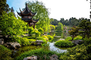 Tapety na pulpit Stany zjednoczone Ogródy Pagoda Staw Kalifornia Drzewa Huntington Botanical Gardens San Marino Natura