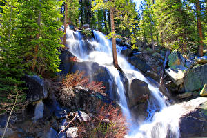 Tapety na pulpit Stany zjednoczone Parki Wodospady Kamień Yosemite Drzewa przyroda