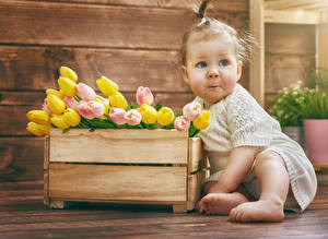 Hintergrundbilder Tulpen Säugling Kleine Mädchen kind