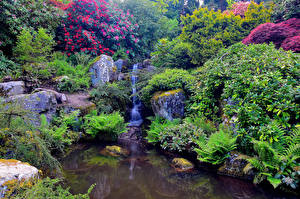 Fotos USA Garten Teich Seattle Bach The Kubota Washington Natur