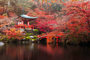 Tapety na pulpit Japonia Jesień Parki Pagoda Mosty Staw Kioto Drzewa Natura