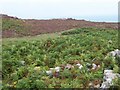 SM7228 : Stone Circle by Cered