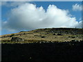  : White Crag Silsden taken from Lightbank Lane by Roger Marshall