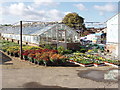 TQ0486 : Plant nursery in Denham by David Hawgood