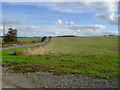 SU5655 : Farmland near Folly Dairy by Nygel Gardner