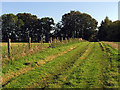  : Byway linking Manor Farm and Chaddleworth Church by Pam Brophy