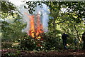 SU9485 : Rhododendron Clearance in Burnham Beeches by Stephen Daglish