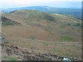 SH6842 : Moel Dduallt by Barry Hunter