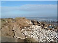 TA4213 : Spurn Peninsula by Paul Allison