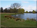 TQ1669 : Bushy Park by Hugh Venables