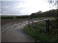 SK6569 : Blue Gate and Mud Track by Michael Patterson