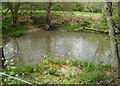 TQ0431 : Feeder Pool, Brewhurst Mill by Janine Forbes