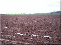  : Very Wet and Muddy Field by Dominic Dawn Harry and Jacob Paterson