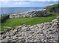 V3597 : Dunbeg Fort by Nigel Cox