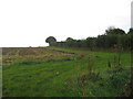  : A Green Bridleway by Roger Gilbertson