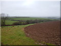 SX3255 : View over gulley which takes spring water to the sea by BB