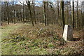 SO3948 : Trig point on Burton Hill by Philip Halling