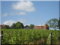 TQ6532 : Little Butts Farm Oast, Butts Lane, Cousley Wood, East Sussex by Oast House Archive