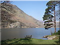 SH6451 : Llyn Gwynant by Trevor Rickard