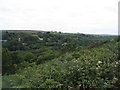 SW4424 : View into Lamorna Valley by Tim Heaton