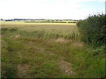  : Looking towards R.A.F. Waddington by Ian Paterson