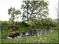 SE0189 : Wildlife pond, St Josephs Wood. by Gordon Hatton