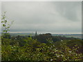 SX0553 : View to Biscovey church by cynthia hudson