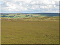  : Moorland east of the Allendale lead smelting flue chimneys by Mike Quinn