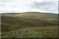  : Looking across Fossdale Gill. by Steve Partridge