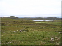  : View from Flaes Knowe towards Mousavord Loch by Ken Craig