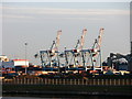 SJ3197 : Cranes at Seaforth Dock by liz dawson