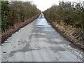 SP0509 : Trackbed of former Midland and South Western Junction Railway near Calmsden by Brian Robert Marshall