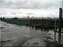  : Nursery at the end of Sandfield Lane by Jonathan Billinger