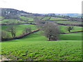 SY4195 : Ryall Bottom near Morcombelake, Dorset by Nigel Mykura