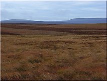  : Moorland, Cotherstone by Andrew Smith