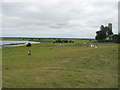 N0030 : Shannon Flood Plain at Clonmacnoise by Colm O hAonghusa