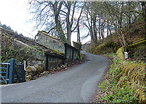 SD9923 : Lane to Higher House, Cragg Vale by michael ely