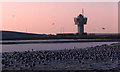 SJ3197 : Seaforth Dock Pools by Mike Pennington