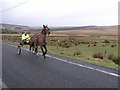  : Trotting along Corgary Road by Kenneth  Allen