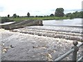 NZ2513 : Weir on the Tees by Antonia