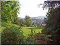 SO6518 : Grassy field above Mitcheldean by Dylan Moore