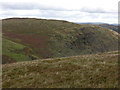  : Southern slopes of Moelfryn by Nigel Brown