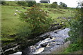 NY8638 : The River Wear near Ireshopeburn by Uncredited