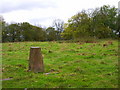 SP0672 : Hob Hill trig by Iain Macaulay