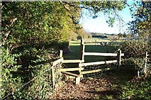  : Footpath to Lower Hill Farm. by Barbara Cook